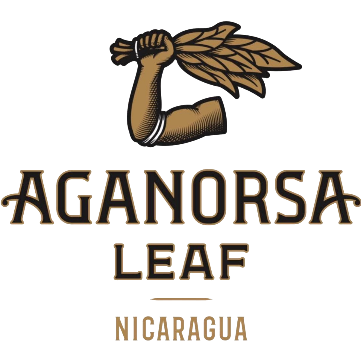 Aganorsa